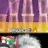 Physics Memes Science Alberteinstein Shortsfeed Experiements Love