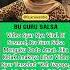 Bu Guru Salsa Trending Shorts Masukberanda Gosipviral