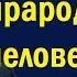 Украина прародина человечества политика