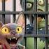 Zombie Hit By Cat S Hammer Cartoonshorts 2danimation Animation Funny Cartoon Cat Zombie