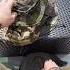 One Can Never Have Too Many Boonie Hats MoorlanderEDC Youtube Fyp