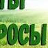 ПУТЬ ДУШИ ИСПОЛНИТЬ СВОЮ МЕЧТУ Контактер Ольга Захарова Blagodatg