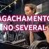 Agachamento No Several Consultoria On Line Greicy Bechi