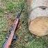 Chinese SKS VS Tree Gun Gunasmr Shooting Sks America Shorts