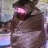 RARE MOMENT Cute Yawning Baby Bat
