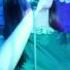 Отзвуки Му China Town Cafe 16 05 13 05