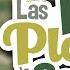 Las 10 Plagas De Egipto Historia De La Biblia Mi Primera Biblia 22