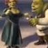 Shrek And Fiona What I Like About You