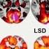 LSD Study Shows Evidence Of Higher Level Of Consciousness