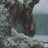 Motorama Bering Island Official Audio