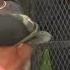 Dupont Circle Park Reopens Fencing Comes Down