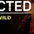 Unexpected Cry Of The Wild Official Announcement Trailer