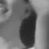Crazy Elephant Gimme Gimme Good Lovin 1967 Dance Footage