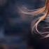 Summer Mix 2025 Best Popular Songs Flowers I M Blue Someone You Loved Love Me Like You Do Cover