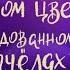 О смелом Мухаммеде о чудесном цветке о заколдованном драконе и о пчёлах из за третьей пустыни 0