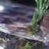 01 11 2014 Masquerade Russian Lovers Aftermovie