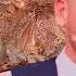 Andreea Banica Ai Gresit Blondy Revelion 2024
