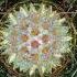 Making A Satoriscope Kaleidoscope