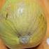 Awesome Coconut Back Cutting Asmr Satisfying