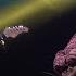 Voodoo Chile Billy Strings With Umphrey S McGee