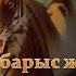 Жолбарыс жеген түлкі