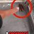 NEVER Kill A Cockroach