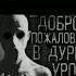 Добро пожаловать в дурку Shorts