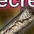 How To Make A God Elden Ring Archaeology Episode 27