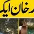 Protest In Support Of Palestine Senator Mushtaq Ahmed Khan Arrested Once Again Dawn News
