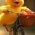 The Duckling Is Falling From Cycle With Its Apples Cartoon Cute