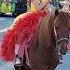 Kataleya Garcia 8 Year Old Rancherita Brewster Washington 5demayo Mariachi Mexicana Cowgirl