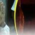 PM Narendra Modi Offers Prayers At Karni Mata Temple In Bikaner Rajasthan