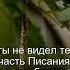 Коран Сура Ан Ниса 4 51 Чтение Корана с русским переводом Quran Translation In Russian Quran