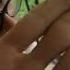 We Made A Friend Praying Mantis