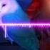Thomas Bergersen Two Hearts Sun Album