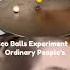 Simple Harmonic Motion Physics Experiment Shorts Physics Experiment Science Facts Subscribe
