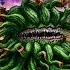 FFBE Fodina Caestino Exploration Hard