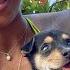 Couple On Vacation Gets Handed A Tiny Street Puppy The Dodo
