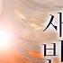 하츠네 미쿠 初音ミク 새벽과 반딧불이 夜明けと蛍 Cover By SENA