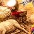 Why Muslims Celebrate BAKREID Story Of Prophet Ibrahim Eiduladha2025 Bakraeid2025 Allah Hajj