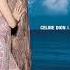 Celine Dion A New Day Has Come Radio Remix Instrumental
