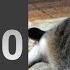 Bro Hit 300k And Theres Still No New Upload