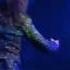 Romeo Et Juliette 8 L Amour Heureux English Subtitles