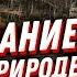 Выжить ЛЮБОЙ ЦЕНОЙ Выживание в песчаной буре лавине и прочих диких условиях