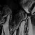 Shorts Theprodigy Nasty Remix Youtube Film Vibes чб