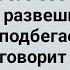 Мужик Смотрит на Соседку Сборник Свежих Анекдотов Юмор