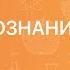 Обществознание 9 класс Семья