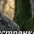 Чужестранка 4 сезон 4 серия Промо с русскими субтитрами Outlander 4x04 Promo