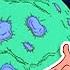 Gains Weight Gravity Full Episode The Magic School Bus