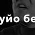 Сени суйо беремин